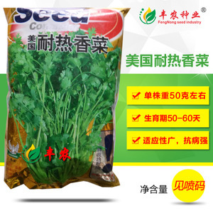 蔬菜香菜種子市場洞察 價格、供應(yīng)商與種植前景