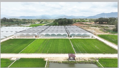 跨越千里，上海農科青年在“種業硅谷”播種未來